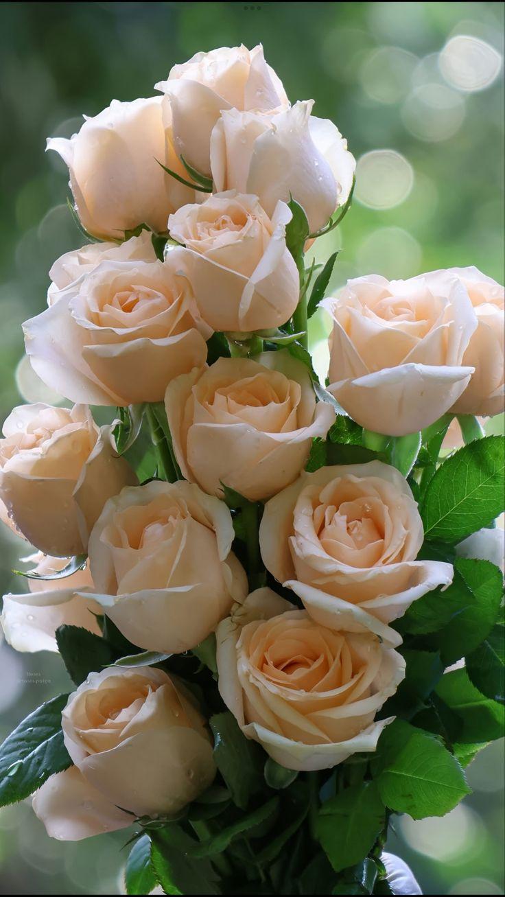 Vista Rustic Center workshop space where corporate flower arrangements are designed and prepared for business delivery